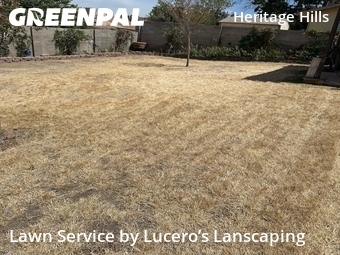 Yard Cutting nearby Albuquerque, NM, 