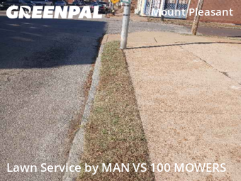 Grass Cutting nearby St. Louis, MO, 