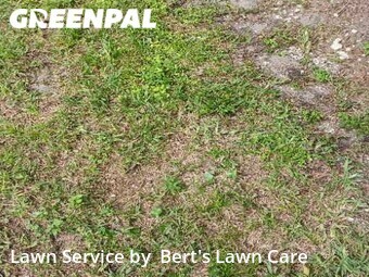 Lawn Cutting nearby Fort Lauderdale, FL, 