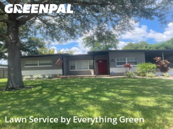 Lawn Mow nearby Orlando, FL, 