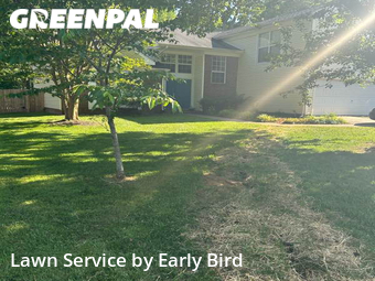 Lawn Maintenance nearby Mint Hill, NC, 