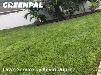 Grass Cutting nearby Tampa, FL, 