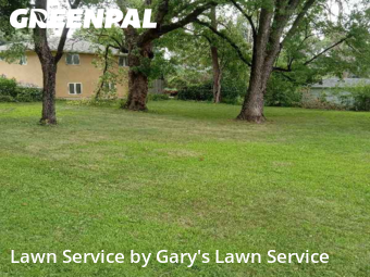 Grass Cut nearby Saint Paul, MN, 