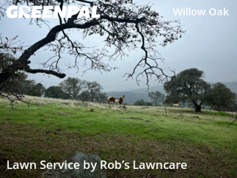 Work completed by local-lawn-and-landscape-maintenance-services-near-me-in-Citrus Heights-CA