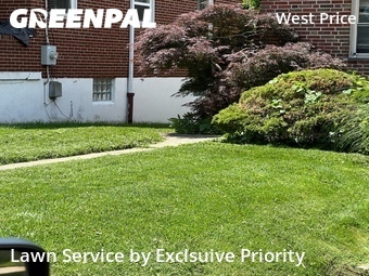 Lawn Maintenance nearby Cincinnati, OH, 