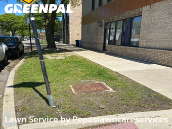 Yard Cutting nearby Chicago, IL, 