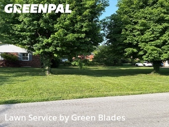 Lawn Mow nearby Bowling Green, TN, 