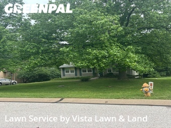 Grass Cutting nearby Ellisville, MO, 