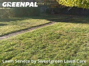 Grass Cut nearby Pittsburgh, PA, 