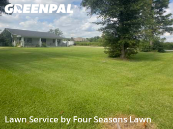 Lawn Mowing nearby Gonzales, LA, 