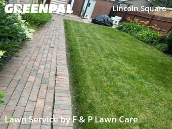 Grass Cutting nearby Chicago, IL, 