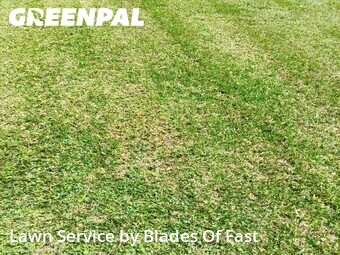 Lawn Service nearby Griffin, GA, 