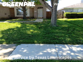 Lawn Cut nearby Frisco, TX, 