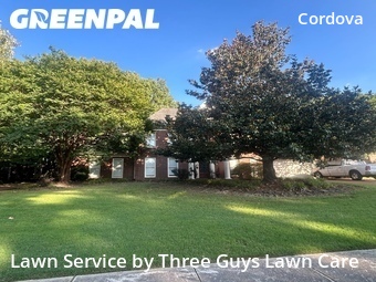 Grass Cutting nearby Memphis, TN, 