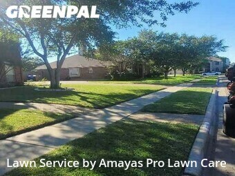 Grass Cutting nearby Corpus Christi, TX, 
