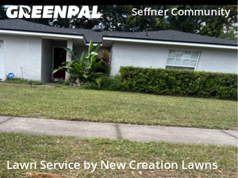 Grass Cutting in Dover, 33527, Weed Trimming by New Creation Lawns, work completed in Nov , 2025