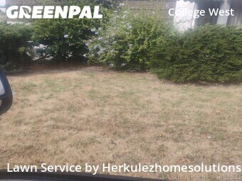 Yard Mowing nearby San Diego, CA, 