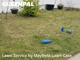 Grass Cut nearby Suffolk, VA, 