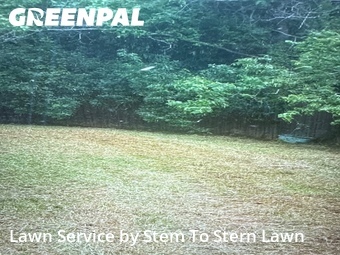 Lawn mowed in Gulfport, 39503