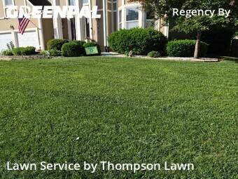 Lawn Maintenancein Overland Park,66223,Lawn Mow by Thompson Lawn, work completed in Jun , 2026