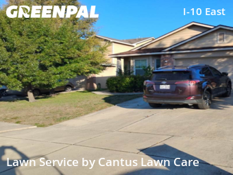 Yard Mowing nearby San Antonio, TX, 