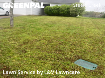 Grass Cutting nearby Charlotte, NC, 