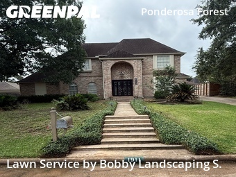 Lawn Cut nearby Houston, TX, 