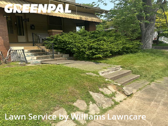 Grass Cutting nearby Evansville, IN, 