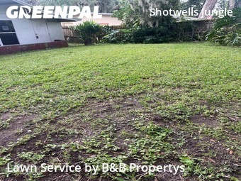 Lawn Mowing nearby Daytona Beach, FL, 