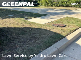 Grass Cut nearby Fort Worth, TX, 