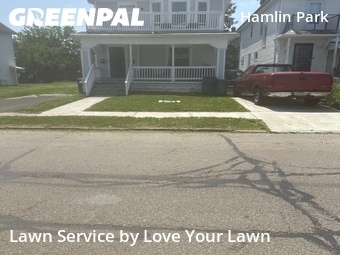 Lawn mowed in Buffalo, 14214