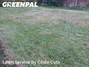 Yard Cutting nearby Pittsburgh, PA, 