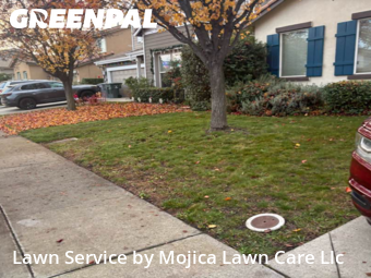 Work completed by grass-care-professionals-in-Rocklin-CA