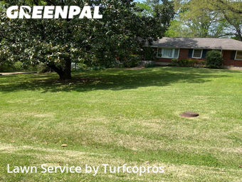 Grass Cutting nearby Nashville Davidson, TN, 