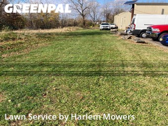 Grass Cut nearby Carlstadt, NY, 