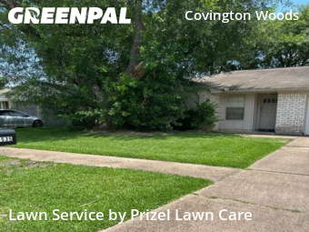 Lawn Mowing nearby Sugar Land, TX, 