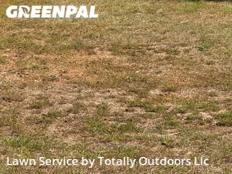 Grass Cutting nearby Tallahassee, FL, 