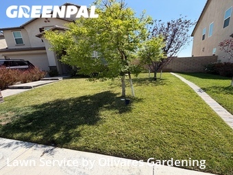 Affordable Landscaping In Santa Clarita,91350,Landscaping Maintenance by Olivares Gardening , work completed in Jun , 2026