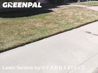 Landscaping Companies In Modesto,95355,Landscapers by U Y A R D S #1 L L C, work completed in Jul , 2026
