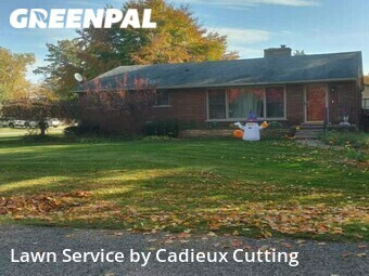 Yard Mowing nearby Clinton Township, MI, 