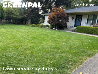 Lawn Mowing Service nearby Grand Rapids, MI, 