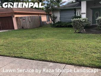 Grass Cut nearby Fort Lauderdale, FL, 
