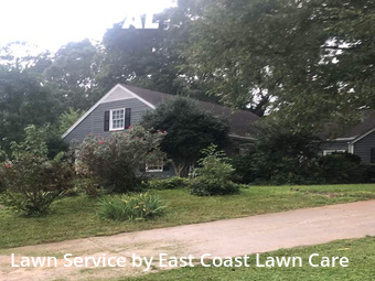 Lawn Mow nearby Decatur, GA, 