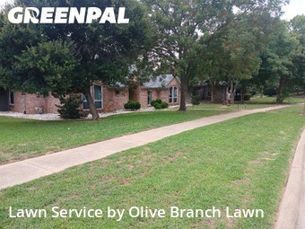 Grass Cutin Keller,76248,Lawn Maintenance by Olive Branch Lawn, work completed in Nov , 2025