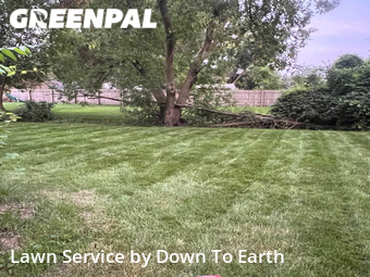 Lawn Care Service nearby Bay City, MI, 