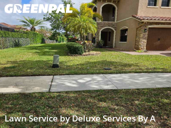 Grass Care in Parkland, 33076, Lawn Services by Deluxe Services By A, work completed in Dec , 2025