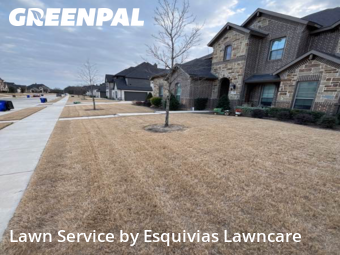 Lawn Cut nearby Mansfield, TX, 