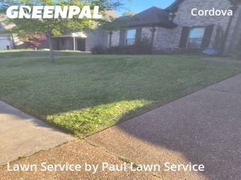 Grass Cutting nearby Shelby County, TN, 