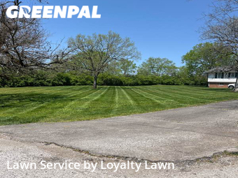 Grass Cut nearby Nicholasville, KY, 