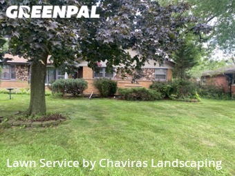 Yard Cutting nearby Worth, IL, 